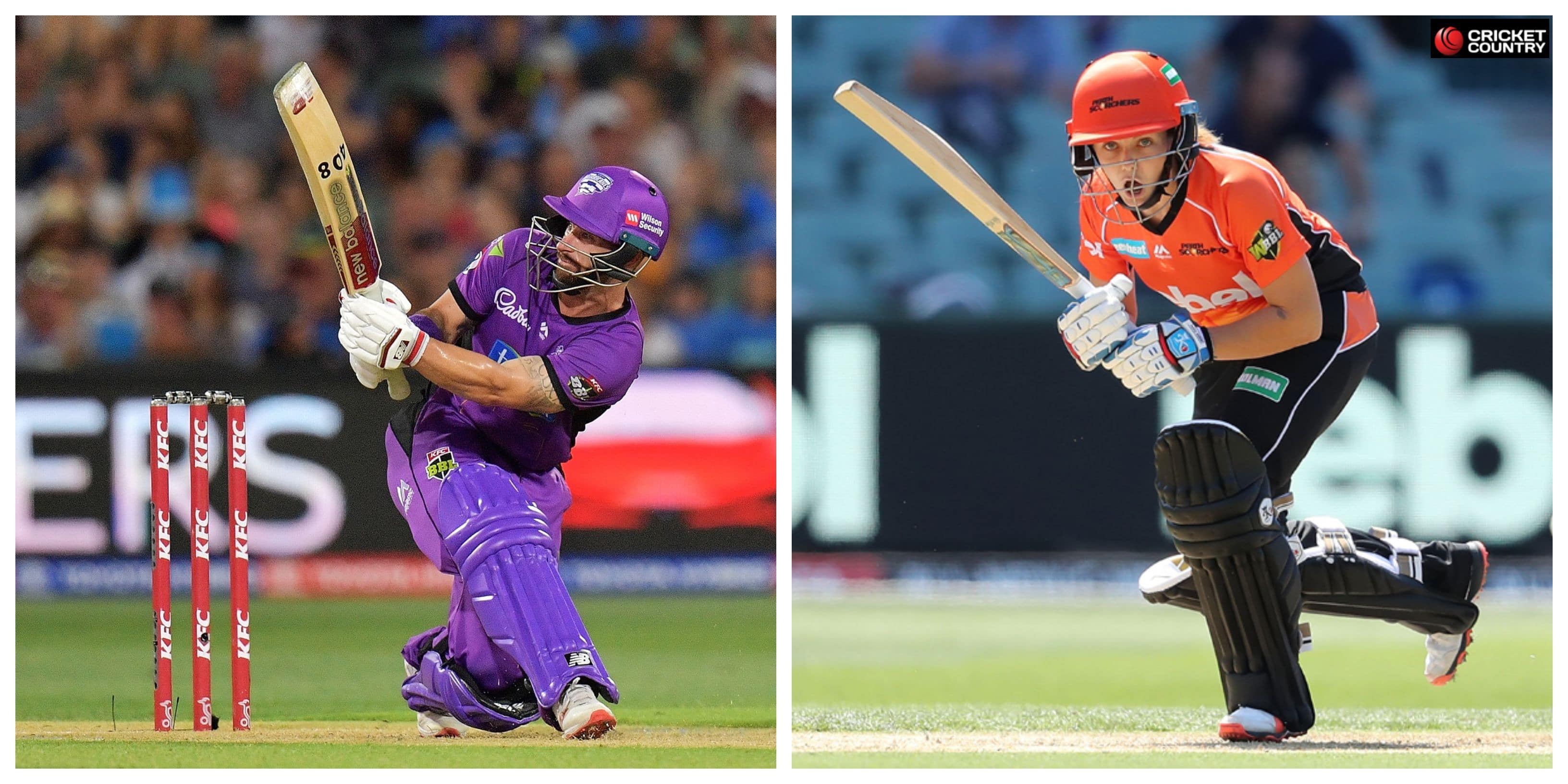 Australian Cricket Awards: Matthew Wade, Heather Graham win top domestic prize