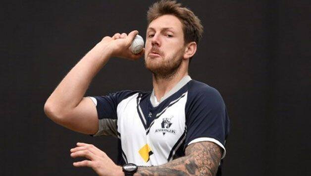 In James Pattinson, Lehmann sees valuable Ashes prospect