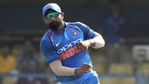 IPL 2019: Mohammed Shami will be give adequate rest, says Mike hassan