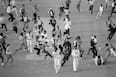 cricketcountry news
