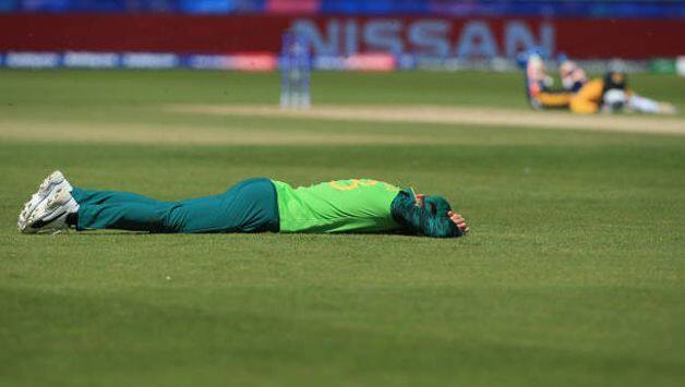Cricket World Cup 2019 – Bees stop play briefly between Sri Lanka and South Africa