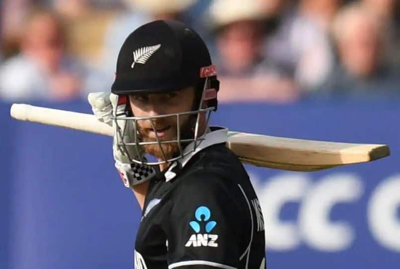 Kane williamson Cricket world cup twitter