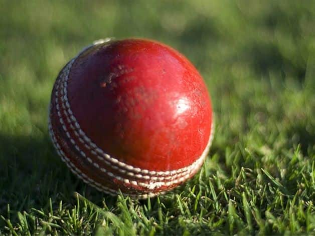 vegan ball, dukes ball, england, earley cricket club vegan ball