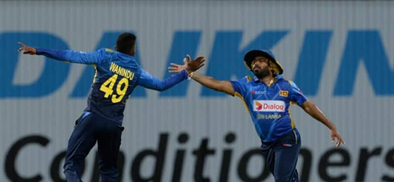 Sri Lanka vs New Zealand 2019, Sri Lanka vs New Zealand, Sri Lanka, New Zealand, Lasith Malinga, Tim Southee