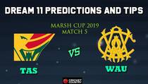 Dream11 Team Tasmanian Tigers vs Western Australia, Match 5 Marsh One-Day Cup 2019 Australian ODD – Cricket Prediction Tips For Today’s Match TAS vs WAU at Perth