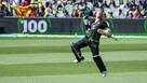 David Warner australia cricket team batsman