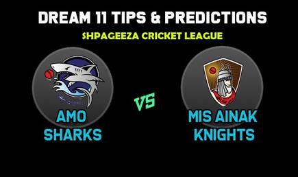 Dream11 Team Amo Sharks vs Mis Ainak Knights Match 14 Shpageeza Cricket League 2019 – Cricket Prediction Tips For Today’s T20 Match AS vs MAK at Alokozay Kabul International Cricket Ground