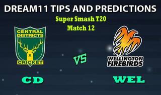 CD vs WEL Dream11 Team Prediction Super Smash 2019-20: Captain And Vice-Captain, Fantasy Cricket Tips Central Districts vs Wellington Firebirds Match 12 at Pukekura Park, New Plymouth 8:40 AM IST