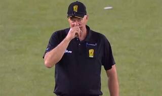 WATCH: About to Give Batsman Out, BBL Umpire Changes Decision And Scratches Nose Instead
