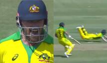 India vs australia 3rd odi steve smith runs out aaron finch twitter finds it funny 3914722