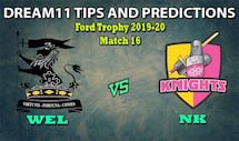 WEL vs NK Dream11 Team Prediction Ford Trophy 2019-20: Captain And Vice-Captain, Fantasy Cricket Tips Wellington vs Northern Knights Match 16 at Basin Reserve, Wellington 3:30 AM IST