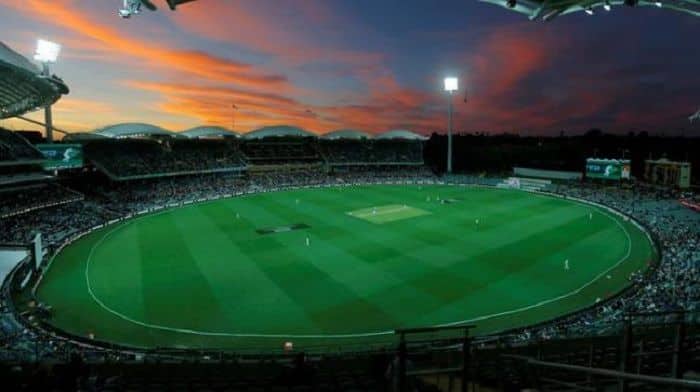 Glad That India Have Agreed To Play A Day-Night Test In Australia: Steve Waugh