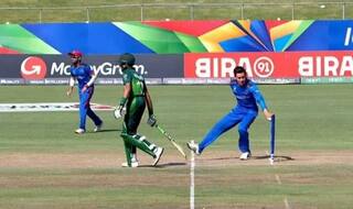 ICC U19 World Cup 2020: Afghanistan’s Noor Ahmed Mankads Pakistan’s Muhammad Huraira in Quarter-Finals | WATCH VIDEO