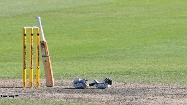 bat ball 1 © Twitter