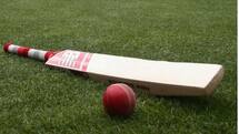 Former cricketer G Kasturi Ranjan died