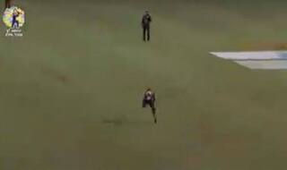 CPL 2020: Dwayne Bravo Takes a Stunning Catch During TKR vs JT | WATCH