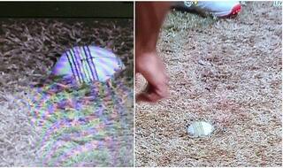 CPL 2020: Ball Bizarrely Rolled Into The Pitch, Delays Start Between GUY-JT | POSTS