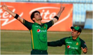 Pakistan vs zimbabwe 1st odi brendon taylor century despite zimbabwe lose against pakistan by 26 runs 4191980
