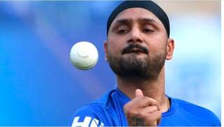 India vs australia harbhajan singh picks indias openers for the test series against australia 4218599
