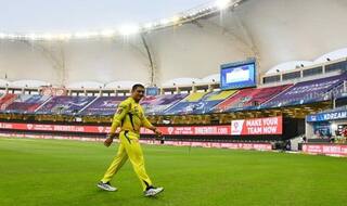 MS Dhoni Orders 2000 Kadaknath Chicks, Likely to do Poultry Farming: Report