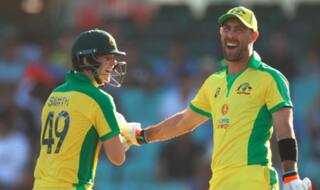 India vs Australia 2020/21: Aaron Finch, Steve Smith shine as Australia beat India by 66 runs in first odi