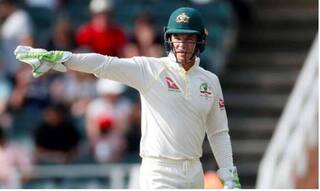India vs australia will pucovski or joe burns tim paine reveals his choice of opener for india tests 4212914