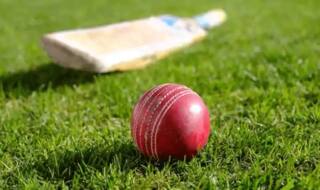 School cricket match abandoned in new zealand due to racial slurs against india pak players 4355887