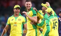 ca looking for chartered flight to bring back australian cricketers after ipl