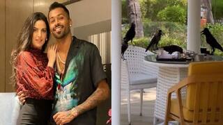IPL 2021: Hardik Pandya, Natasa Stankovic And Crows Party in Unique Fashion | WATCH VIDEO