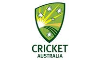 Covid 19 Hits IPL 2021: No Chartered Flights For Australian Players, Says Nick Hockley