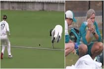Cricket news womens ashes 2022 ausw vs engw beth mooney saves boundary with broken jaw video viral 5212444
