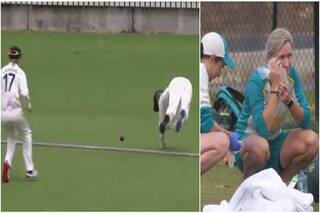 Cricket news womens ashes 2022 ausw vs engw beth mooney saves boundary with broken jaw video viral 5212444