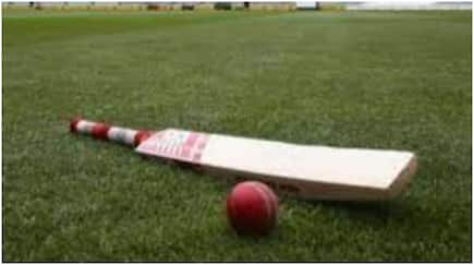 Cricket To Be Included In Olympics Soon? Check Latest Update Here