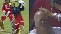 watch video rajat patidar six hits elderly fan in stands in rcb vs pbks match