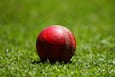 cricketcountry news