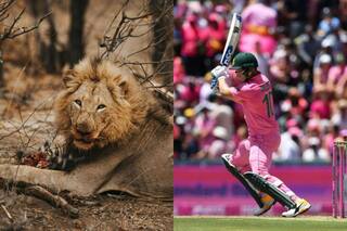 World Photography Day: David Miller Reveals He Loves Doing Wildlife Photography