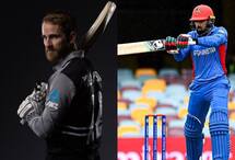 NZ vs AFG T20 World Cup 2022, Super 12: Live Streaming Details And Where To Watch In India