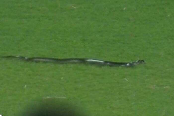 Watch Vidceo IND vs SA 2nd T20 match interrupted because there is a snake on the field