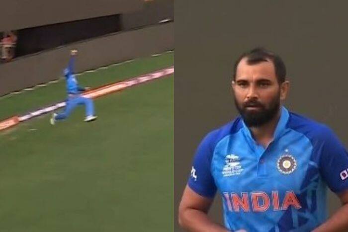 Watch: Virat Kohli's Brilliance And Shami's Lethal Final Over Help IND Beat AUS By 6 Runs