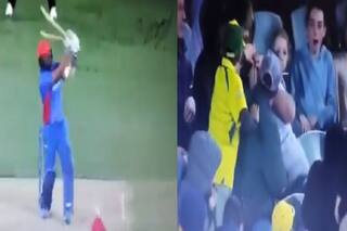 Watch Video Afghanistan batter gulbadin naib shot hits a spectator in stadium