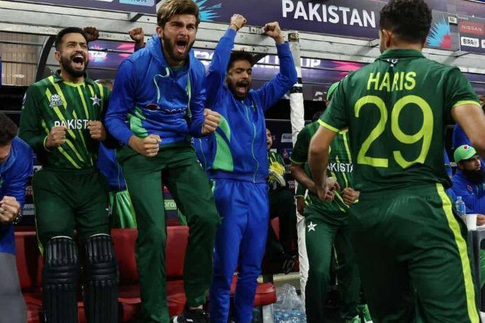 T20 World Cup 2022: Pakistan Book Semifinal Berth With Seven Wicket Win Over New Zealand