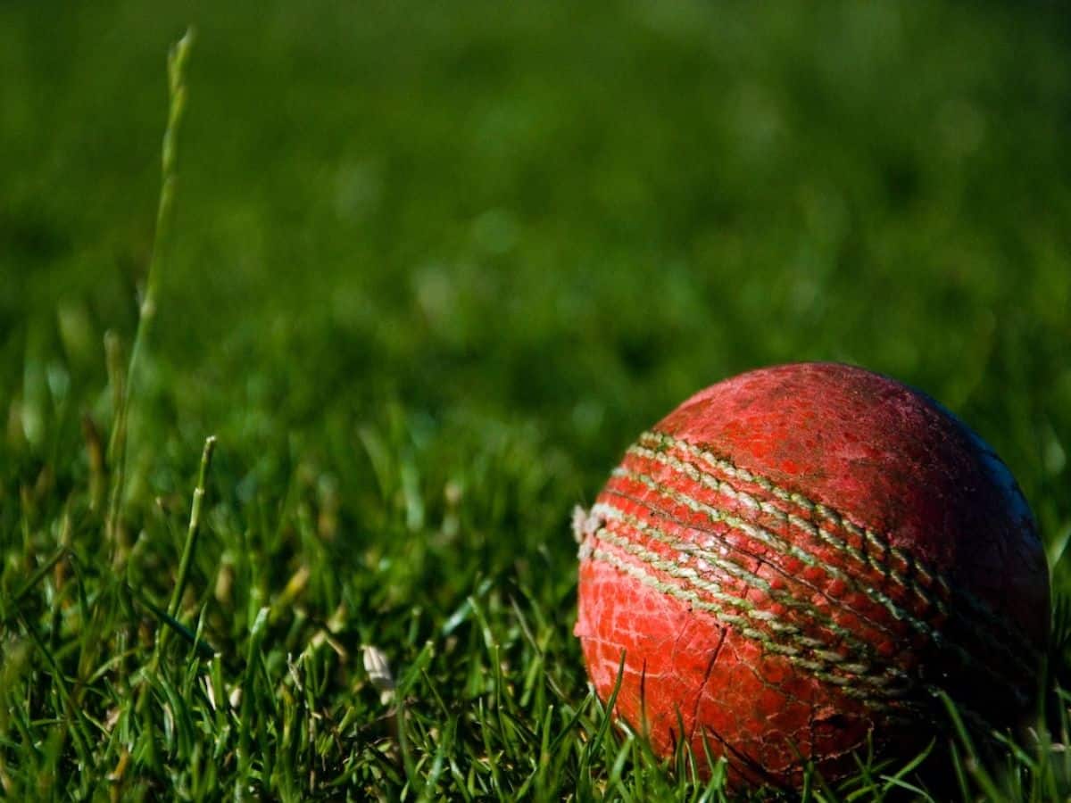 The Future Of Cricket In Europe: Growing In Popularity