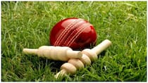 DVE vs LSH Dream11 Team Prediction, VPL T10, Match 6: Captain, Vice-Captain, Injury Report And Probable XIs for Vincy Premier League T10, At Arnos Vale Ground, St. Vincent, 9:30 PM IST