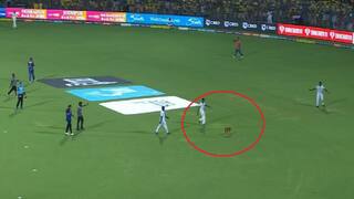 IPL 2023 dog entry in Chepauk csk vs lsg match delayed