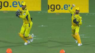 VIDEO: batsman went to dodge Dhoni, had to go after being run out against SRH