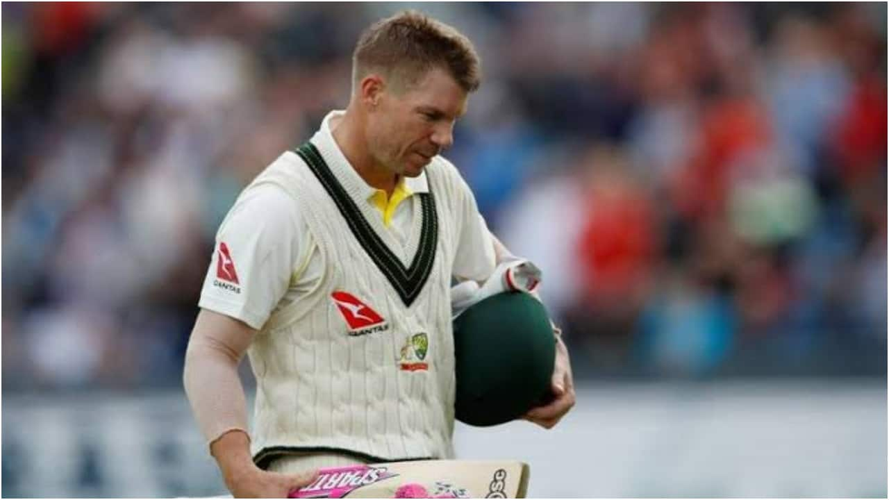 Barmy Army Trolls David Warner