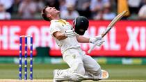 ‘No, Not At All’: David Warner Brushes Off Oval Retirement Rumours