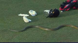 LPL 2023: Snake Enters R.Premadasa Stadium, Stops Galle Titans Vs Dambulla Aura Match – WATCH