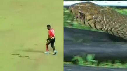 Isuru Udana Narrowly Escapes Snake Attack In Lanka Premier League | WATCH
