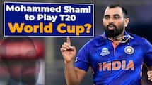 David Warner is likely to play T20Is against West Indies over ILT20